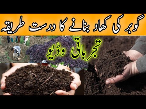 Compost making at home||Animal manure composting|| How to use farm yard manure