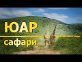 ЮАР. Сафари-парк. В мире животных.