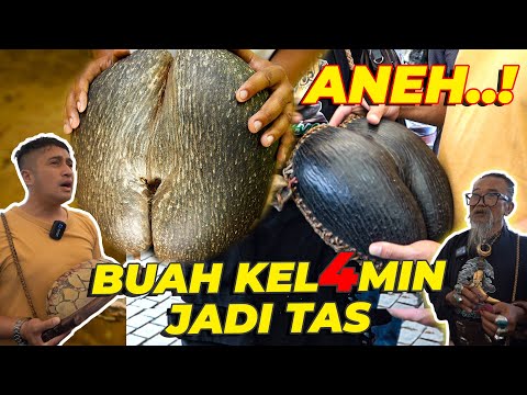 Video: Apa itu tempat tidur batu?