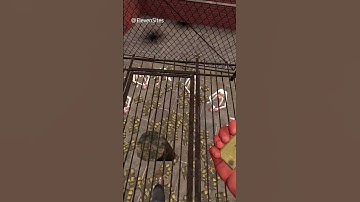 Killing SCP-096s with C4s Failed