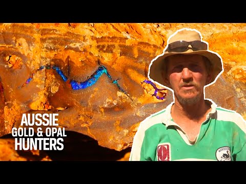 Aussie Gold and Opal Hunters, Gold Rush, Outback Opal Hunters, ...