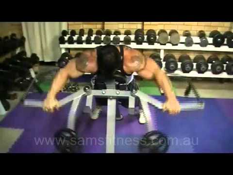 Lee Priest Training Rear Delts on the Powertec Lev...