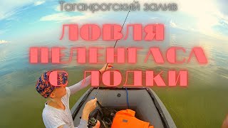 Ловля пеленгаса в Таганрогском заливе с лодки.