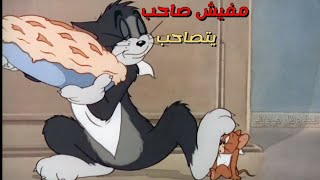 مهرجان مفيش صاحب يتصاحب على قط وفار