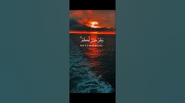 والله يعلم وأنتم لا تعلمون  |قرآن كريم 💚 هدوء وراحة