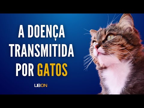 Vídeo: Como prevenir a doença da arranhadura do gato: 11 etapas (com fotos)