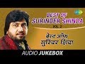 Best Of Surinder Shinda | Non Stop Punjabi Hits | Volume -2 | Audio Juke Box