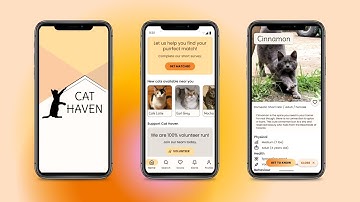 Cat Haven Mobile UX Design Prototype