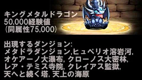 プルトゥ渓谷 経験値