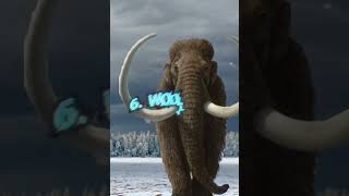 Reviving Lost Wonders Top 10 Animals Scientists Are Resurrecting