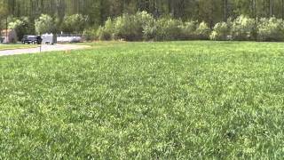 NADF Level 2 Obedience Training Scenario