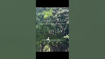 فدعا ربه اني مغلوب فانتصر ففتحنا السماء بماء منهمر قرآن قران كريم راحة نفسية تلاوة خاشعة لايك 