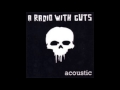 A Radio With Guts - 