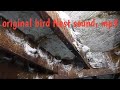 Suara Inap Original Mp3 - Mp4 Download