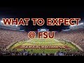 WHAT TO EXPECT AT FSU