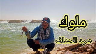 صيد الأسماك بلحداف أو اللينسه مع جزار الساموس في بحيره ناصر ومفيض توشكى fishing & hanting