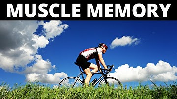 What Is Muscle Memory ?