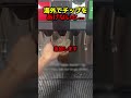 海外でチップをあげないと...