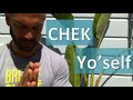 CHEK Yo Self CHEK Yo Self