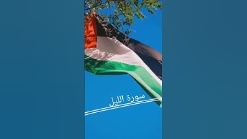 سورة الليل surah al lail