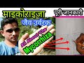 माइकोराइजा के बारे में पूरी जानकारी - मित्र फंफूद | All about the MYCORRHIZA | MYCORRHIZA