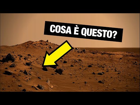 Video: Insetti Su Marte: Sono Stati Scoperti Da Un Professore-entomologo Americano - Visualizzazione Alternativa