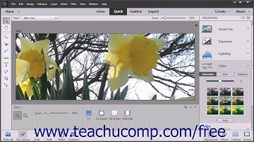 Photoshop Elements 15 Tutorial The Quick Photo Edit Mode Adobe Training