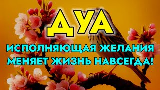 МОЩНАЯ ДУА ДЛЯ ИСПОЛНЕНИЯ ЖЕЛАНИЙ – ДУА, МЕНЯЮЩАЯ ЖИЗНЬ!