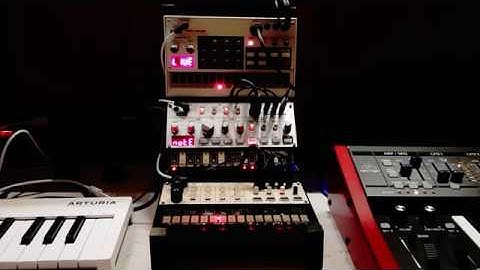 Gecko - Open Space (Korg volca Bass, Keys, Sample & Behringer Deepmind 12)