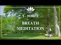 5-minute | Guided Breathing Meditation #zen #mindfulness #breathing