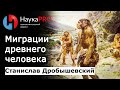 Миграции древнего человека – антрополог Станислав Дробышевский | Научпоп