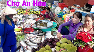 VỀ TIỀN GIANG ĐI CHỢ AN HỮU MÙA TRÁI CÂY NGẬP CHỢ MIỀN TÂY 