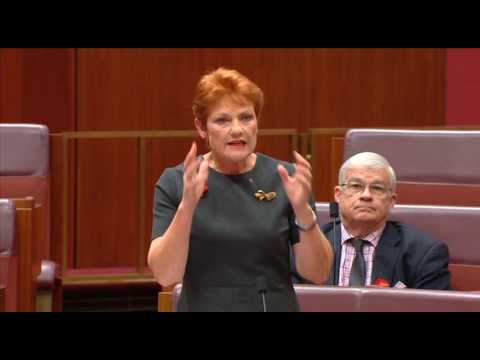 Did Pauline Hanson Just Quit Politics?