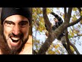 This man climb trees better than monkeys  the real life tarzan