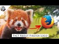 Tech Fact About Mozilla Firefox Logo || Tech Techniques In Telugu #shorts
