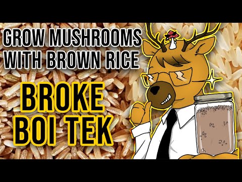 Video: How To Grow Rice Mushroom For Weight Loss