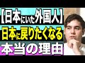 【外国人から見た日本】日本にいたイスラエル人 日本恋しくなるワケ【kaitube カイチューブ】