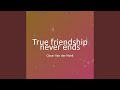 True Friendship Never Ends 