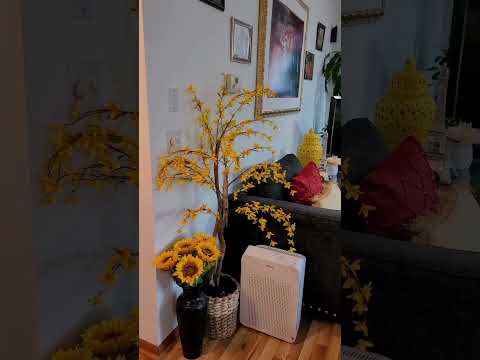 How to create cozy family room #shorts #vlogs #shortsvideo#family #