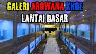 ARWANA  BERGARANSI ADA DI AROWANA KHOE