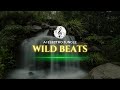 Wild beats  une chanson gnre par ia  musique ai