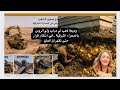 وديعة ذهب ومعادن نفيسة ورؤيتي حول قانون التعدين وتعديله الاخير