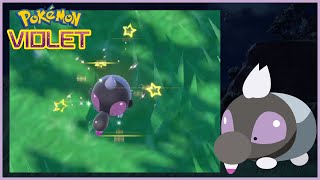 (LIVE) FULL ODDS Shiny Shroodle in Pokemon Violet [Phase 4]