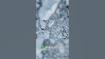 Human Impact on Ancient Species 🌍