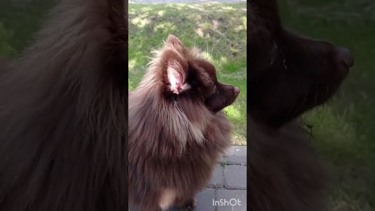 ⚡⚡⚡ ТОР ⚡⚡⚡ 🇷🇺🇷🇺🇷🇺🇷🇺🇷🇺🇷🇺🇷🇺🇷🇺🇷🇺🇷🇺🇷🇺🇷🇺🇷🇺🇷🇺🇷🇺🇷🇺🇷🇺🇷🇺🇷🇺🇷🇺🇷🇺🇷🇺🇷🇺🇷🇺🇷🇺🇷🇺🇷🇺🇷🇺🇷🇺🇷🇺🇷🇺