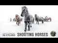 Shooting horses in a snowstorm | Photography in Iceland