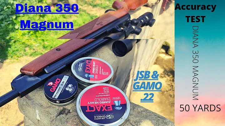 Diana 350 Magnum Accuracy Test | 50 yards | spring...