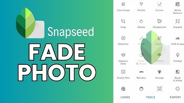 How to Fade Photo in Snapseed 2024?