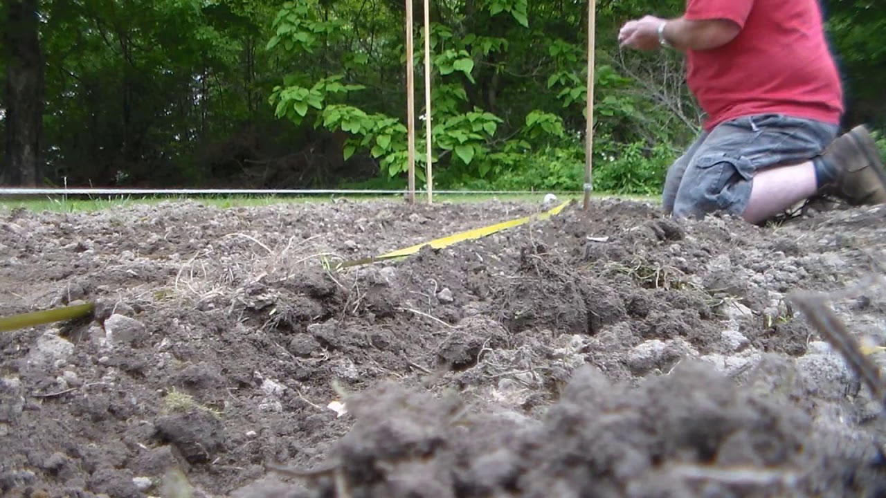 Planting Corn and Okra YouTube