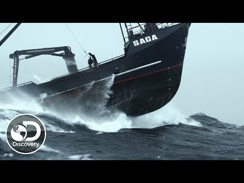 the-saga-continues-to-struggle-|-deadliest-catch